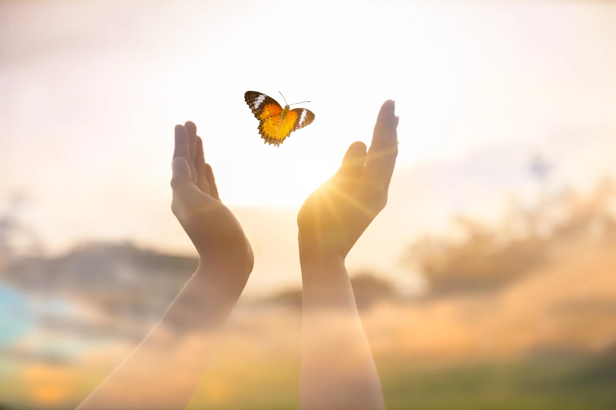 la-jeune-fille-libere-le-papillon-du-moment-concept-de-liberte soins thérapeutique Valais